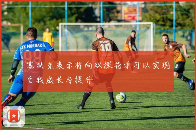 塞纳克表示将向双探花学习以实现自我成长与提升