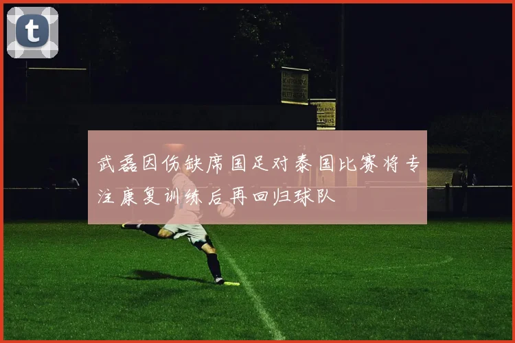 武磊因伤缺席国足对泰国比赛将专注康复训练后再回归球队