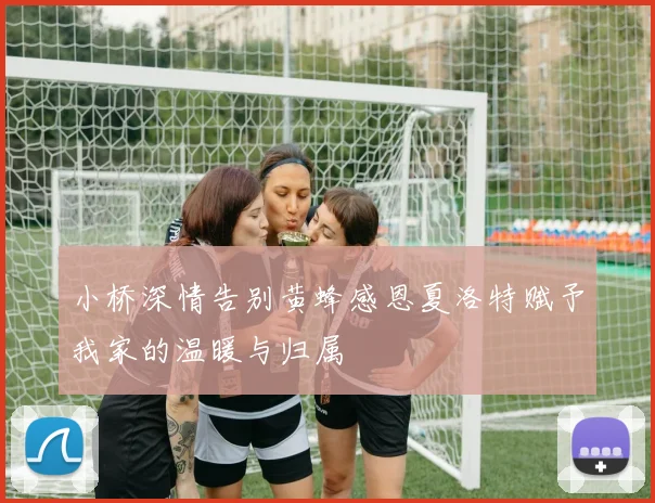 小桥深情告别黄蜂感恩夏洛特赋予我家的温暖与归属