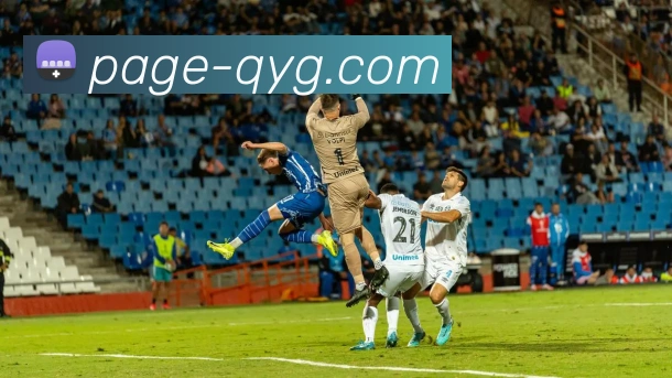 奖项证书